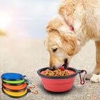 Comedero portátil y plegable de silicona para perros