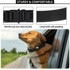 Collar táctico para perro con AirTag
